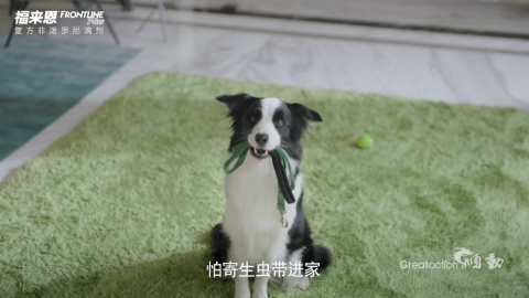 福來恩-寵物驅蟲廣告片